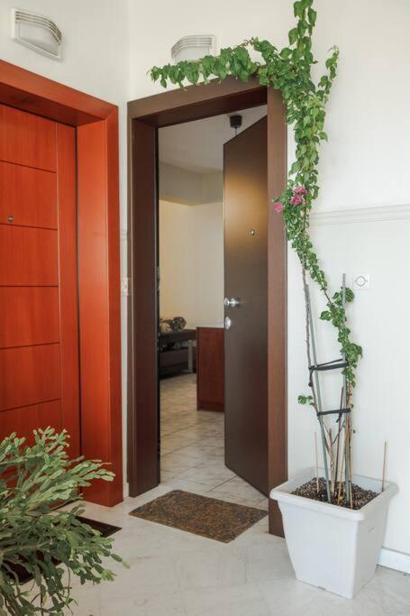 Kateríni Tommy'S Family Apartment מראה חיצוני תמונה
